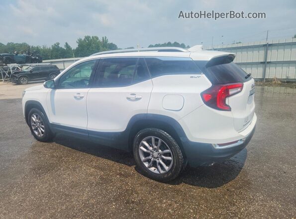 3GKALVEG1RL287979 2024 GMC TERRAIN White Rear left