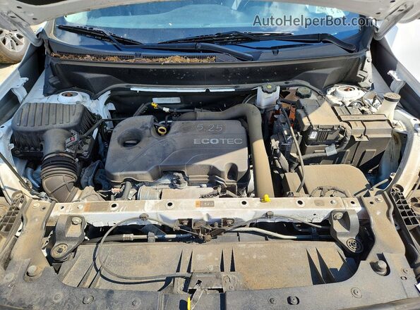 3GKALVEV0ML376773 2021 GMC TERRAIN White Vista del compartimento del motor