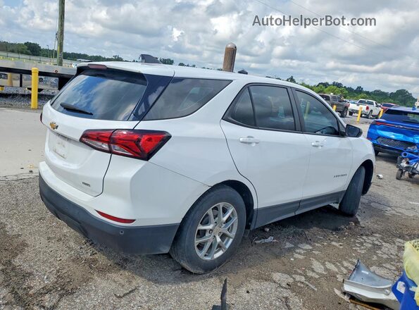 3GNAX5EG0RL282232 2024 CHEVROLET EQUINOX White Задня права чверть