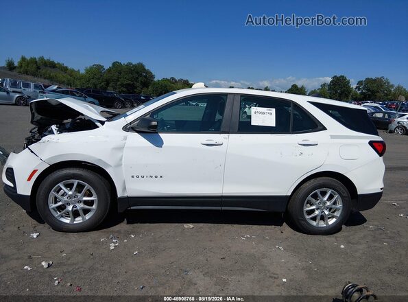 3GNAX5EG3RL284900 2024 CHEVROLET EQUINOX White 