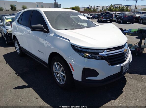3GNAXFEG5RL290137 2024 CHEVROLET EQUINOX White Սալոնի հետևի տեսք