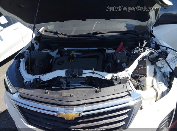 3GNAXFEG5RL290137 2024 CHEVROLET EQUINOX White Հետևի տեսք