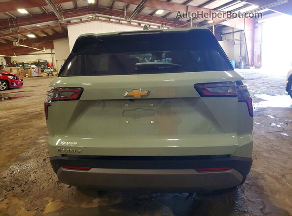 3GNAXHEG1TL199546 2026 CHEVROLET EQUINOX Green Вид ззаду