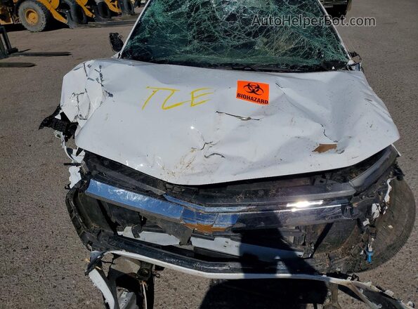 3GNAXHEG9SL207312 2025 CHEVROLET EQUINOX White Սալոնի հետևի տեսք