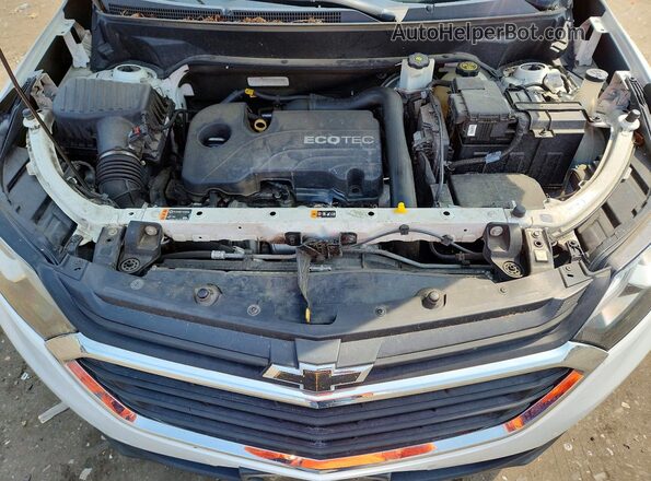 3GNAXHEV7JS625497 2018 CHEVROLET EQUINOX White Սալոնի հետևի տեսք