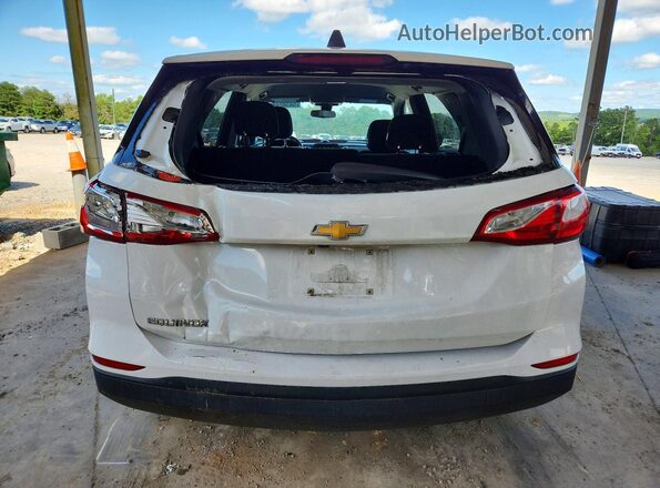 3GNAXHEV7LS700329 2020 CHEVROLET EQUINOX White Вид ззаду