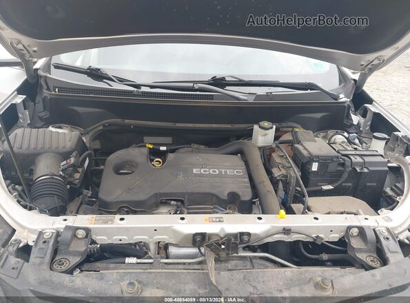 3GNAXJEV1KS647357 2019 CHEVROLET EQUINOX Silver Widok z tyłu