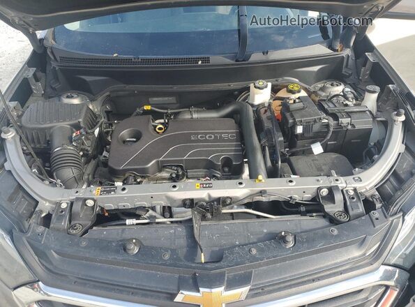 3GNAXJEV2JS648144 2018 CHEVROLET EQUINOX Gray Rear interior view