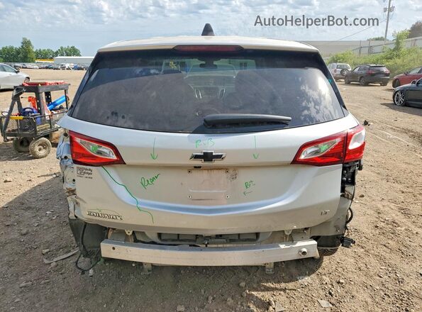 3GNAXJEV6LL158156 2020 CHEVROLET EQUINOX Серебряный Вид сзади