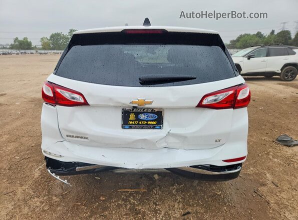 3GNAXJEV8LS690983 2020 CHEVROLET EQUINOX Белый Вид сзади