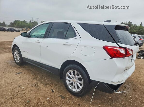 3GNAXJEV8LS690983 2020 CHEVROLET EQUINOX Белый Задняя левая четверть