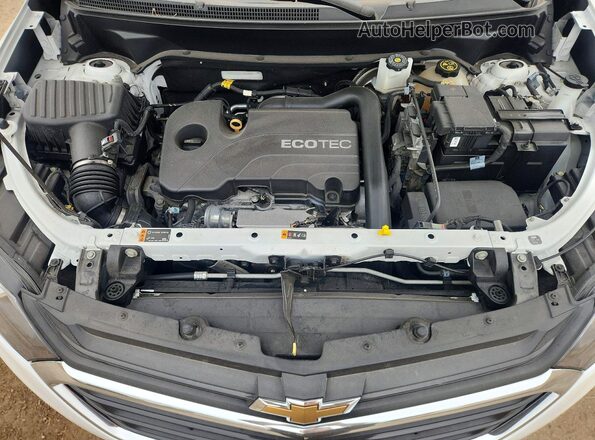 3GNAXJEV8LS690983 2020 CHEVROLET EQUINOX Белый Вид задней части салона