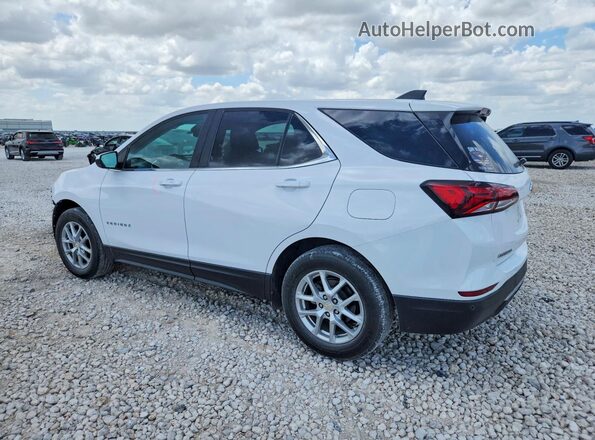3GNAXKEG2PL271261 2023 CHEVROLET EQUINOX White Tył lewy