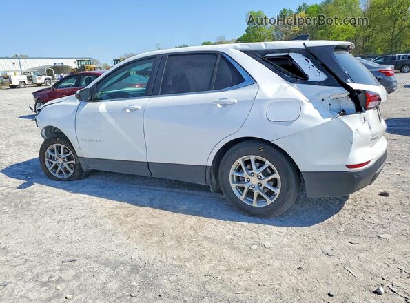 3GNAXKEG3RL343555 2024 CHEVROLET EQUINOX White უკანა მარცხენა