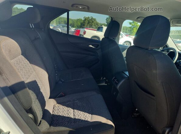 3GNAXKEG6PS140033 2023 CHEVROLET EQUINOX White Widok tylnych siedzeń