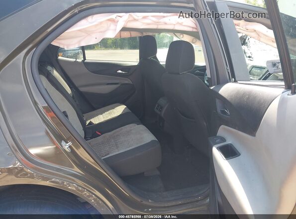 3GNAXKEG7PL119539 2023 CHEVROLET EQUINOX Brown VIN կոդի պիտակի տեսք