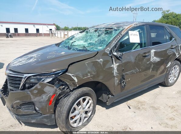 3GNAXKEG7PL119539 2023 CHEVROLET EQUINOX Brown 
