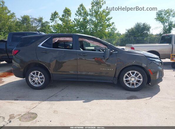 3GNAXKEG7PL119539 2023 CHEVROLET EQUINOX Brown Սալոնի հետևի տեսք