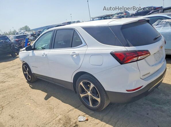 3GNAXKEG9RL310236 2024 CHEVROLET EQUINOX White უკანა მარცხენა