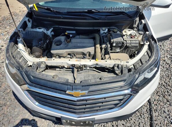 3GNAXKEV7KS659955 2019 CHEVROLET EQUINOX White Rear interior view