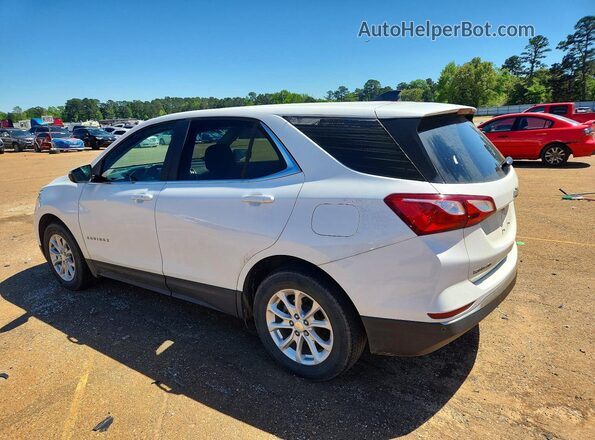3GNAXKEV7MS123722 2021 CHEVROLET EQUINOX White Tył lewy