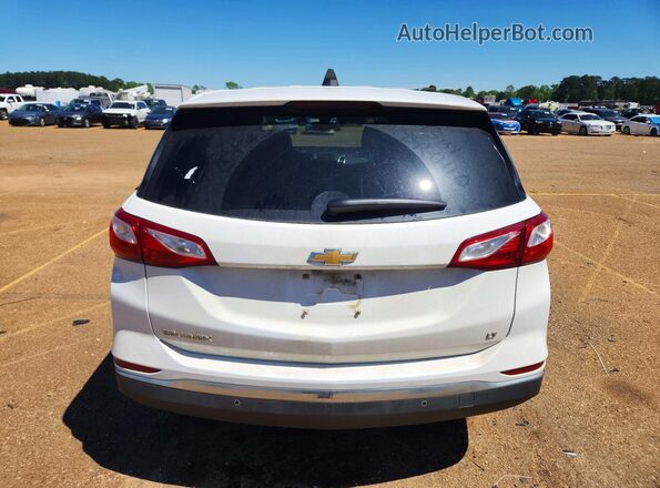 3GNAXKEV7MS123722 2021 CHEVROLET EQUINOX White Widok z tyłu