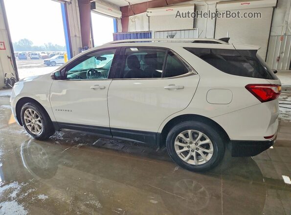 3GNAXKEV8LS531404 2020 CHEVROLET EQUINOX Белый Задняя левая четверть