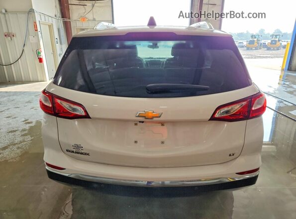 3GNAXKEV8LS531404 2020 CHEVROLET EQUINOX Белый Вид сзади