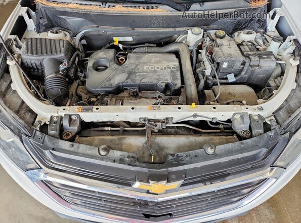 3GNAXKEV8LS531404 2020 CHEVROLET EQUINOX Белый Вид задней части салона