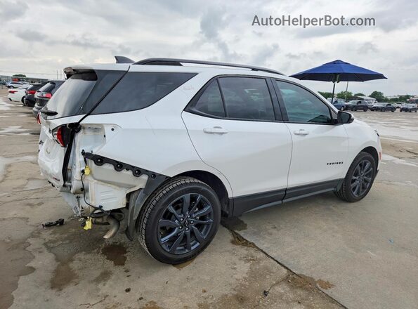 3GNAXMEG0RS130449 2024 CHEVROLET EQUINOX White უკანა მარჯვენა
