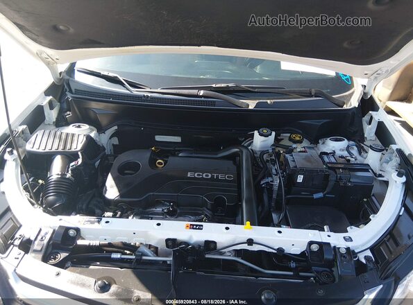 3GNAXNEV6LS714379 2020 CHEVROLET EQUINOX Белый Вид сзади