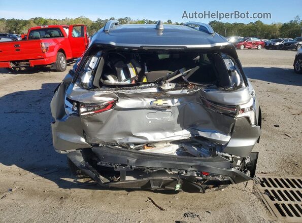 3GNAXPEG0SL103821 2025 CHEVROLET EQUINOX Silver Widok z tyłu
