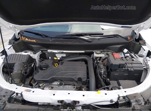 3GNAXPEG5SL323536 2025 CHEVROLET EQUINOX Белый Вид сзади