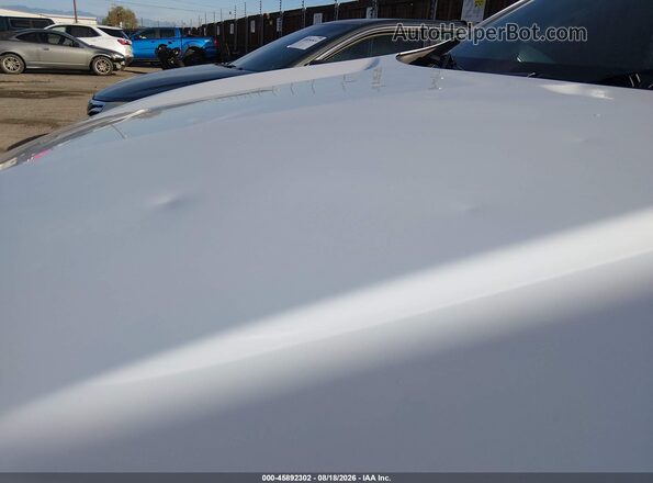 3GNAXSEG0PL201242 2023 CHEVROLET EQUINOX Белый Вид спереди