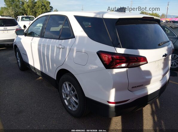 3GNAXSEG0PL201242 2023 CHEVROLET EQUINOX Белый Задняя левая четверть