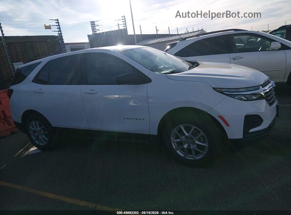 3GNAXSEG0PL201242 2023 CHEVROLET EQUINOX Белый Вид задней части салона