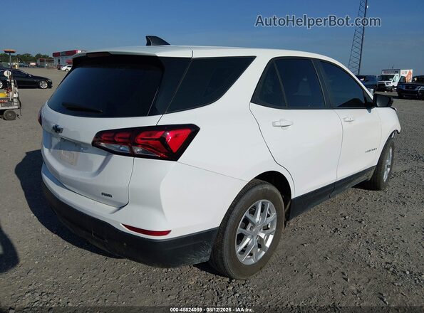 3GNAXSEG7RL163916 2024 CHEVROLET EQUINOX White Tył prawy