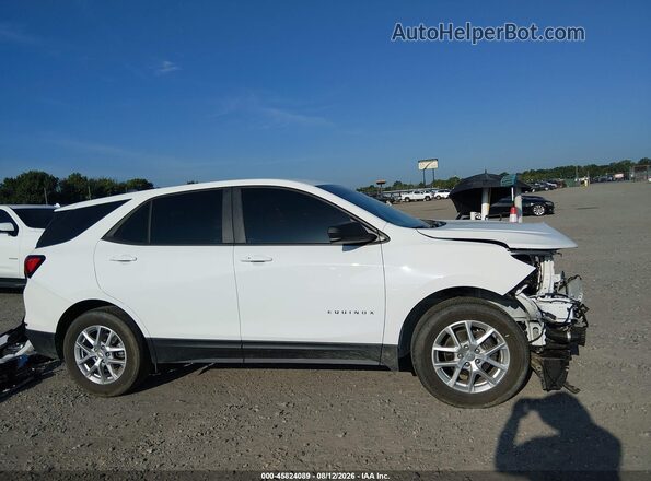 3GNAXSEG7RL163916 2024 CHEVROLET EQUINOX White Widok wnętrza z tyłu