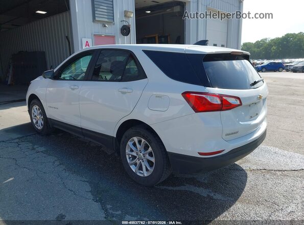 3GNAXSEV1LS686490 2020 CHEVROLET EQUINOX Белый Задняя левая четверть