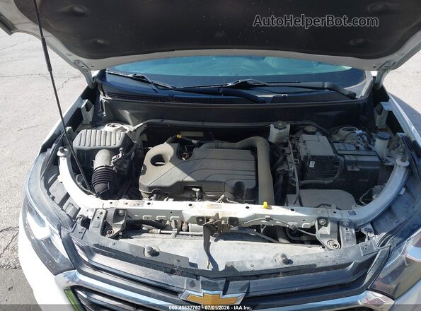 3GNAXSEV1LS686490 2020 CHEVROLET EQUINOX Белый Вид сзади