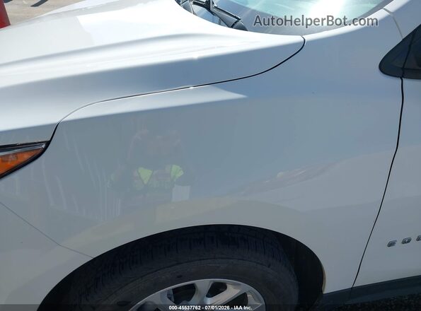 3GNAXSEV1LS686490 2020 CHEVROLET EQUINOX Белый Вид задней части салона