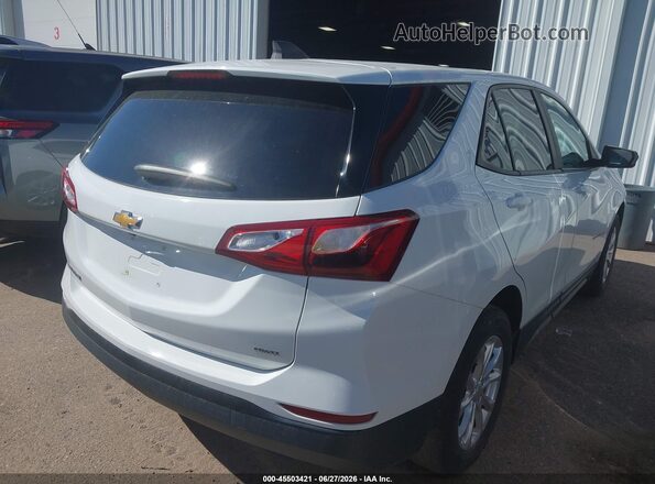 3GNAXSEV3MS157074 2021 CHEVROLET EQUINOX White Հետևի աջ