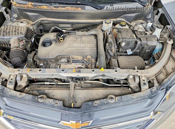 3GNAXSEV9JS596713 2018 CHEVROLET EQUINOX Gray Սալոնի հետևի տեսք