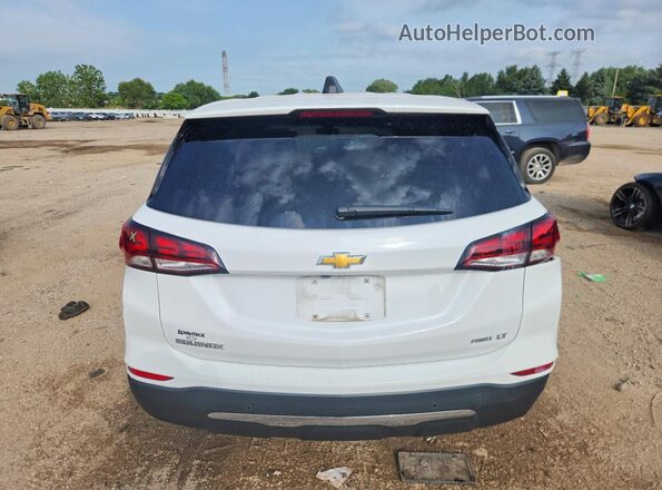 3GNAXTEGXPL250518 2023 CHEVROLET EQUINOX Белый Вид сзади