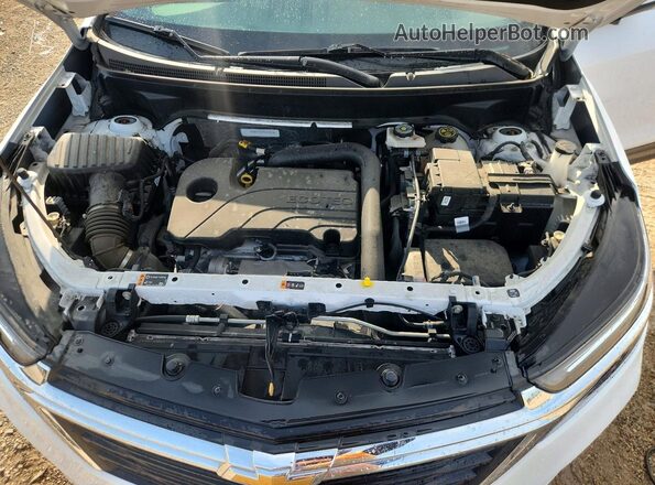 3GNAXTEGXPL250518 2023 CHEVROLET EQUINOX Белый Вид задней части салона
