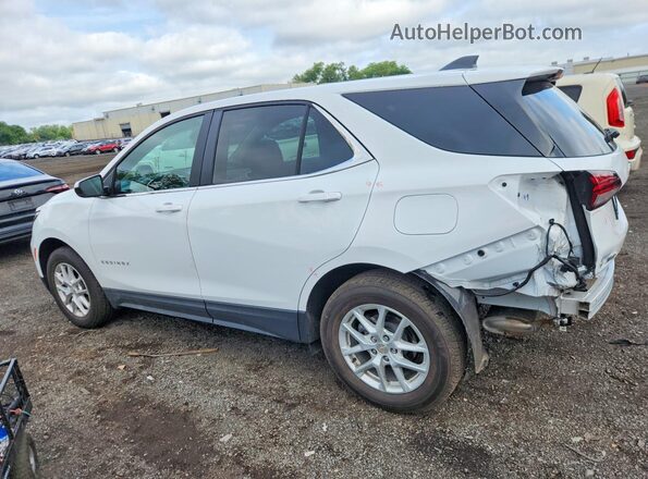 3GNAXUEG7PL103787 2023 CHEVROLET EQUINOX White Tył lewy