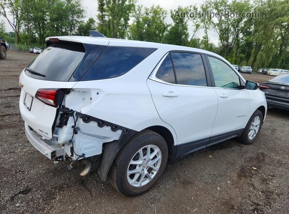 3GNAXUEG7PL103787 2023 CHEVROLET EQUINOX White Tył prawy