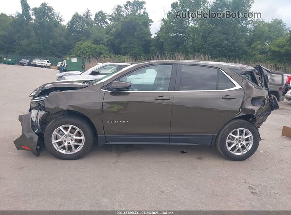 3GNAXUEGXPL260830 2023 CHEVROLET EQUINOX Brown 