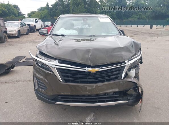 3GNAXUEGXPL260830 2023 CHEVROLET EQUINOX Brown Vista interior trasera