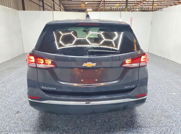 3GNAXUEGXPS167246 2023 CHEVROLET EQUINOX Gray Widok z tyłu